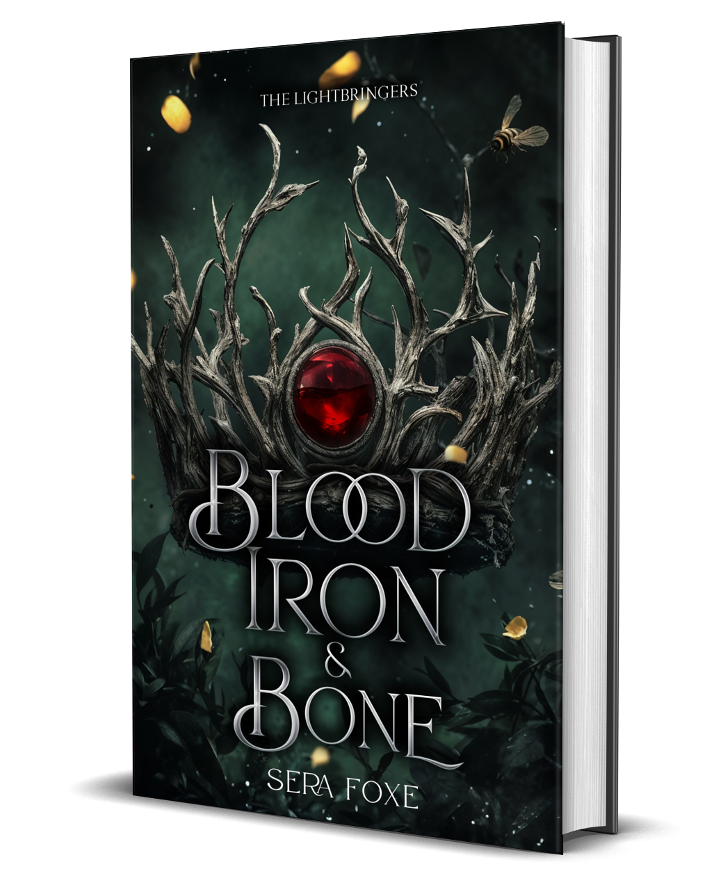 Blood iron and Bone