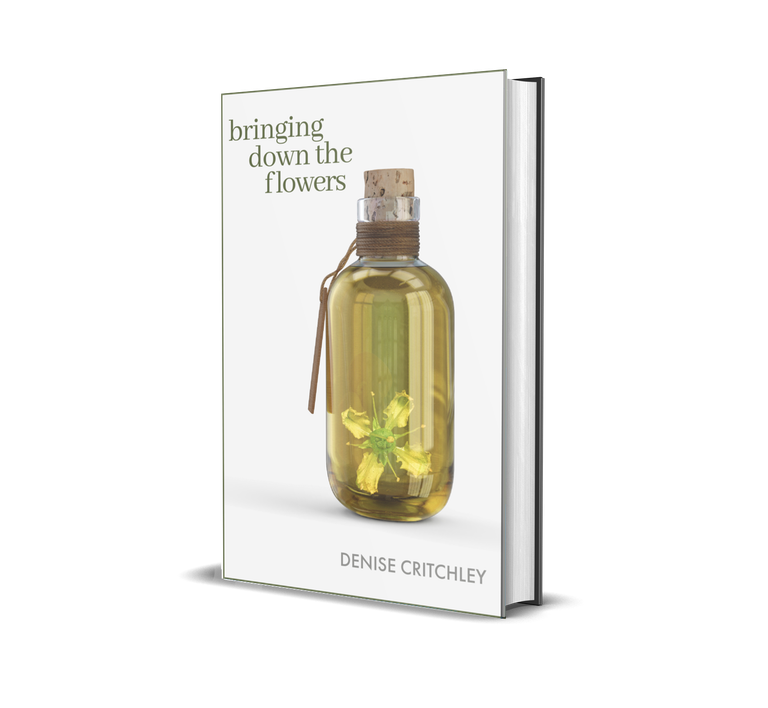 Bringing down the Flowers (The Hedgewitch Series Book 1)