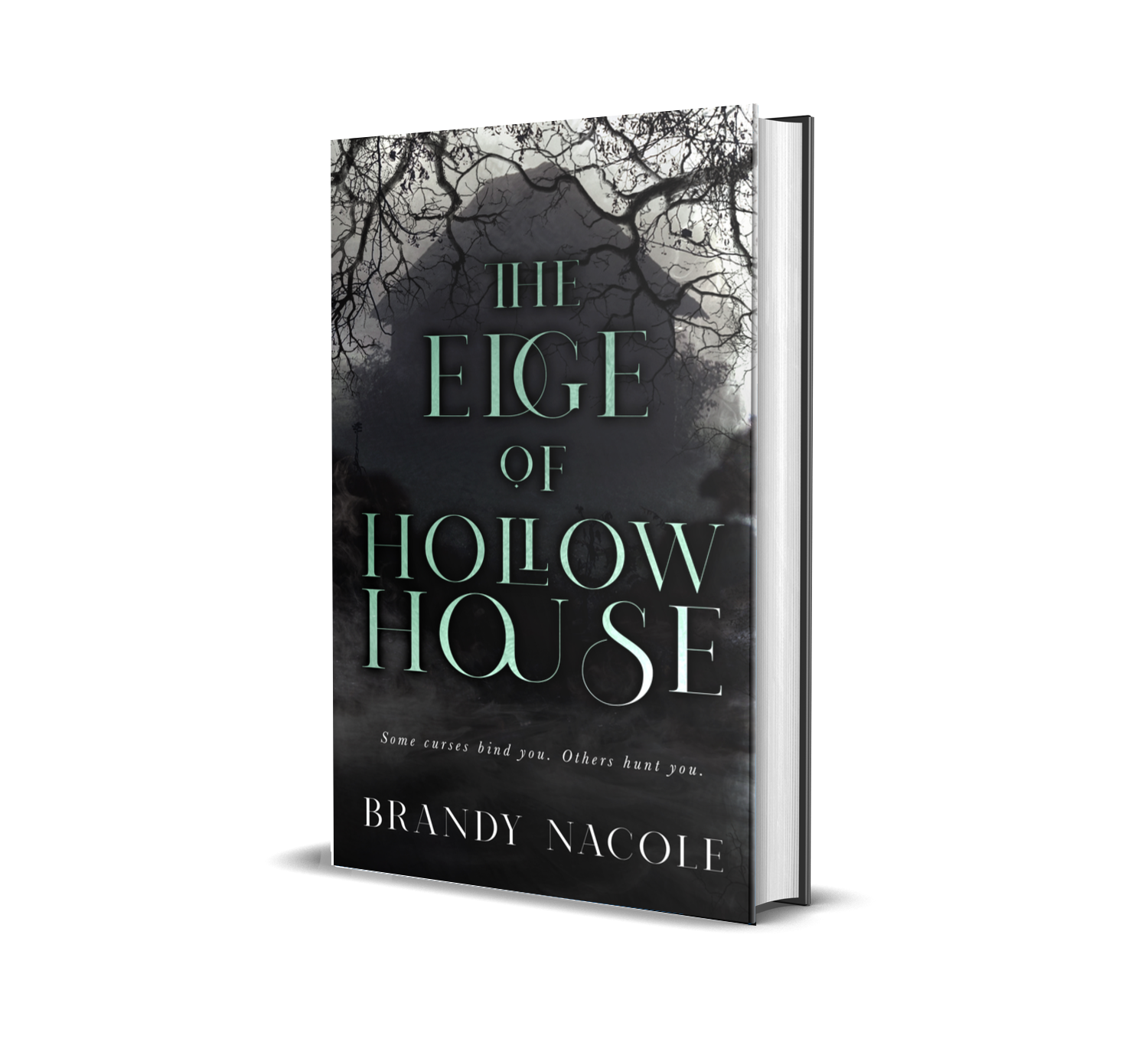 The Edge of Hollow House